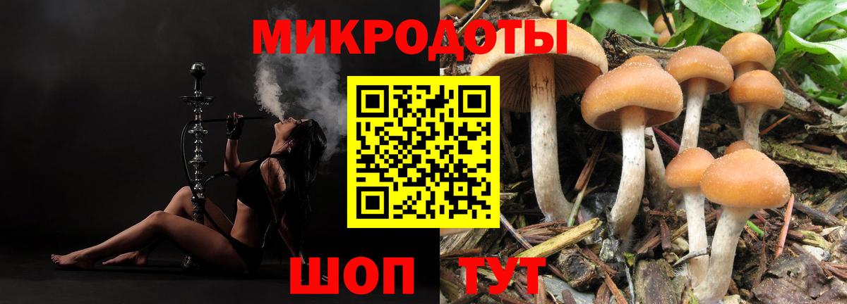 как найти закладки  Вход с VPN  Зерноград  Псилоцибиновые грибы Psilocybine cubensis 